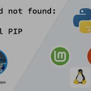 Command Not Found Pip Solution Ubuntu Linux Mint Debian WSL