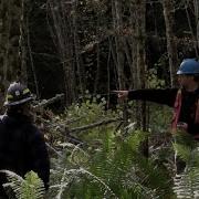 Forest Thinning Benefits Tips