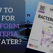 Coliform Bacteria Test Kit How To Test For Coliform Bacteria In Water 2019