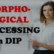 MORPHOLOGICAL ALGORITHMS IN DIP Everything You Need To Know About MORPHOLOGICAL ALGORITHMS IN DIP
