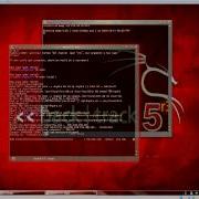 Cracking SSH Logins With Hydra