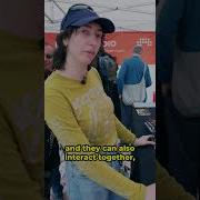 Аранжировщик или клип лаунчер