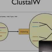 Multiple Sequence Alignments And Profiles Part 1