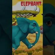 Colorful Savanna Animal Sounds Song Lion Zebra Flamingo Elephant Learn Savanna Animals For Kid