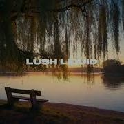 Deep Liquid DnB Strength In Solitude 2 Hour Dawn Lake Vibes