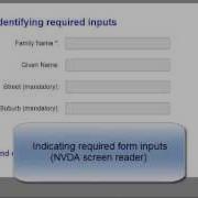 Indicating Required Form Inputs