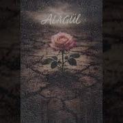 Alagül Funda Arar Anatolian Psychedelic Rock Cover