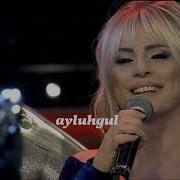 AYŞEN BİRGÖR BEGONVİL