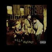 Raw Breed Real Live
