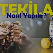 Tekila Nasıl Yapılır