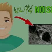 Image Denoising Using Python Script Python Automation Projects Pythonautomation Pythoninhindi