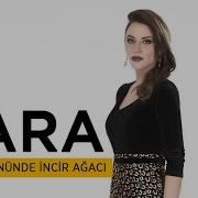 Zara Hastane Önünde İncir Ağacı