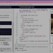 Learn Basic HTML And HTML5 Create A Form Element FreeCodeCamp Org Google Chrome 2019 12 11 15 4