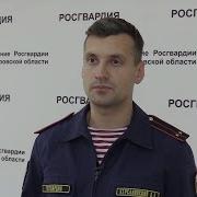 Сдайте оружие