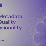 Data Quality Dimensionality V1 11