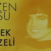 Sezen Aksu Erkek Güzeli Lyrics Şarkı Sözleri