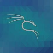 028 Разбираемся с процессами Этичный хакинг с Kali Linux