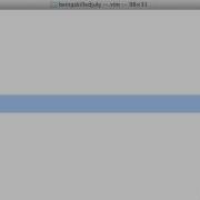 Copy And Pasting Multiple Lines Using Vi Editor