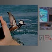 Visual Recognition From Categorization To Knowledge
