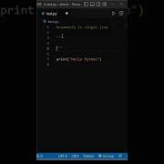 How To Provide Comments In Python Single Line Comment And Multiline Comment In Python