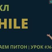 Изучаем Python 2019 36 Цикл While Цикл с Предусловием счетчик