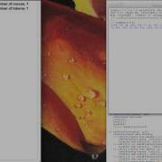 Maddie Mesard 15 112 Maze Generator And Solver