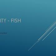 Codility Fish JavaScript