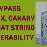 How To Bypass Canary PIE NX Protection Utilizing Format String Vulnerability