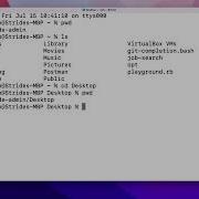 Learn To Code With Ruby V2 01 Introduction Installation 04 MacOS Work With The Terminal