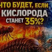 Что будет если Кислорода станет 35
