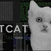 Mastering Web Server Footprinting Netcat And Telnet Techniques