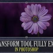How To Free Transform In Photoshop I Photoshop Tutorial
