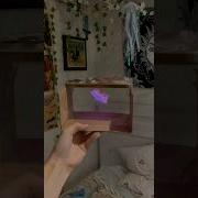 Diy Hologram Box