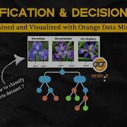 Decision Trees And Classification Clearly Explained Orange Data Mining Tutorial