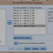 Reverse Coding On SPSS