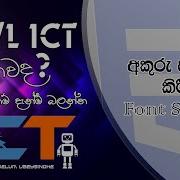 CSS Sinhala Tutorial For A L ICT Student And Beginners 04