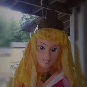Princess Aurora Piñata
