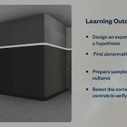 Counting Cells Control The Epidemic Virtual Lab