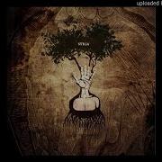 Stria Alive Acoustic