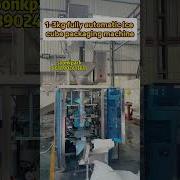1 3 Kg Fully Automatic Ice Cube Packaging Machine Icepackingmachine