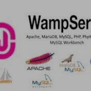 How To Connect Your Website With Database Using Wamp Server