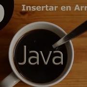 Operacion Insertar Arreglos En Java Curso Java NetBeans 29 33