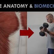 Muscle Anatomy Biomechanics Exercise Selection For Hypertrophy Training