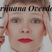 Marijuana Overdose What To Do If You Ate Too Much THC