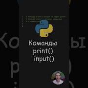 Python Команды Print Input