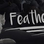 FEATHERS Complete Feathertail MAP