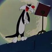 Looney Tunes Figaro
