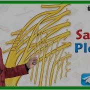 Sacral Plexus Anatomy Animation Dr G Bhanu Prakash USMLE STEP 1