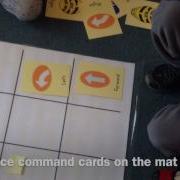 Learning Sequence With Bee Bots