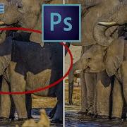 How To Remove SHADOWS From A Photo In PHOTOSHOP